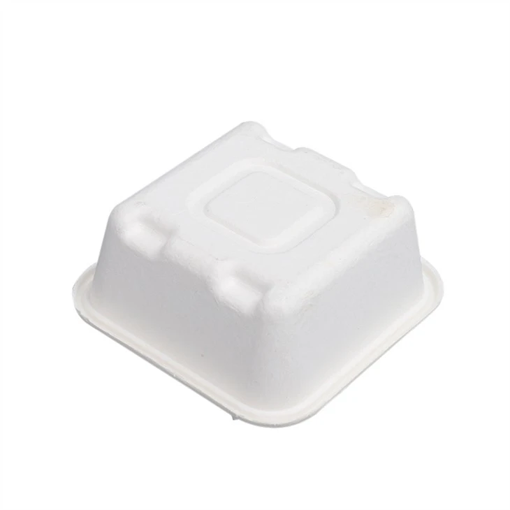 Molded Pulp Salad Bowl Tray